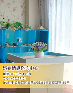 家庭婚姻咨詢(xún)